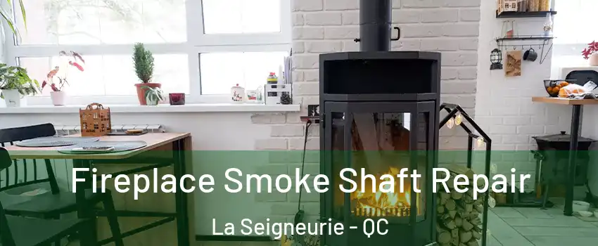  Fireplace Smoke Shaft Repair La Seigneurie - QC