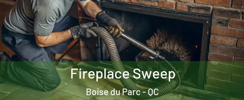  Fireplace Sweep Boise du Parc - QC