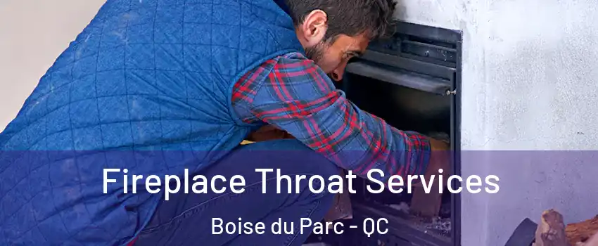  Fireplace Throat Services Boise du Parc - QC