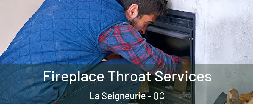 Fireplace Throat Services La Seigneurie - QC