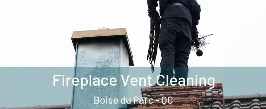  Fireplace Vent Cleaning Boise du Parc - QC