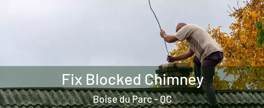  Fix Blocked Chimney Boise du Parc - QC