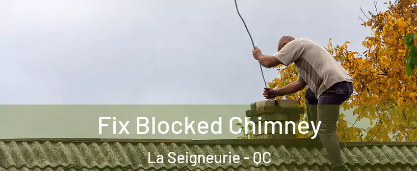 Fix Blocked Chimney La Seigneurie - QC
