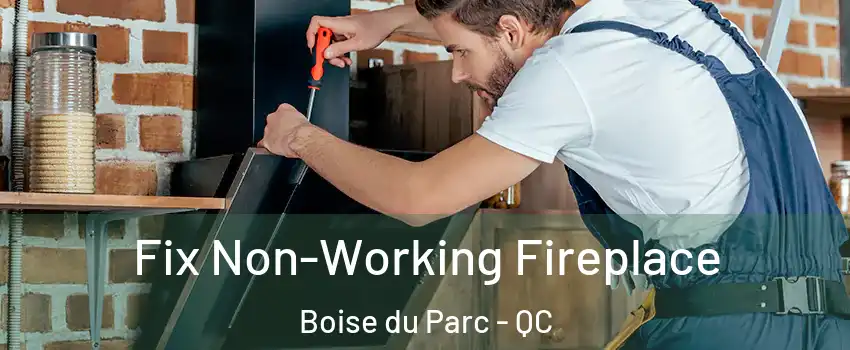  Fix Non-Working Fireplace Boise du Parc - QC