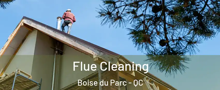  Flue Cleaning Boise du Parc - QC