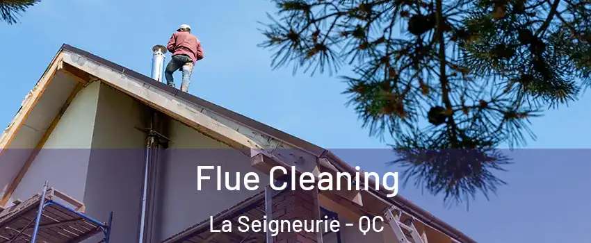  Flue Cleaning La Seigneurie - QC
