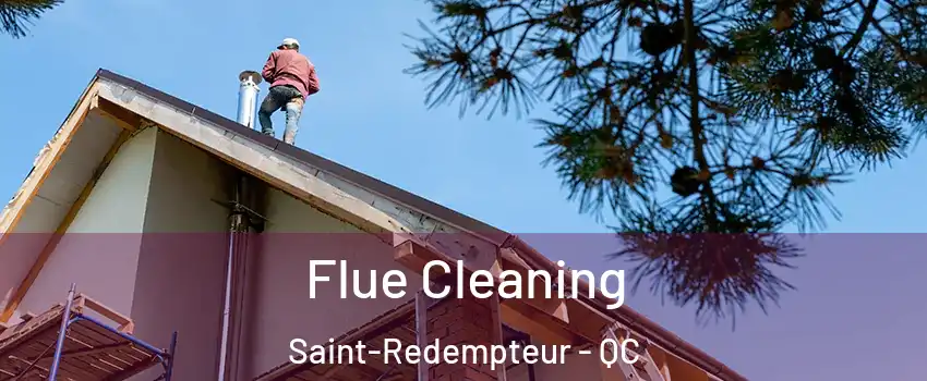  Flue Cleaning Saint-Redempteur - QC