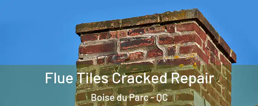  Flue Tiles Cracked Repair Boise du Parc - QC