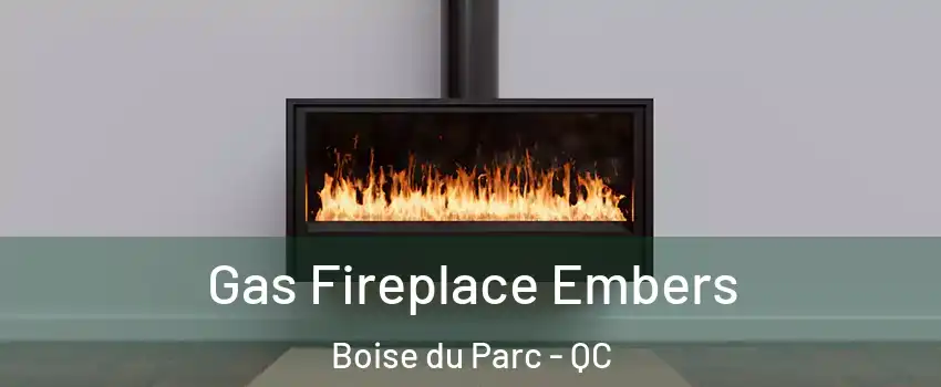  Gas Fireplace Embers Boise du Parc - QC