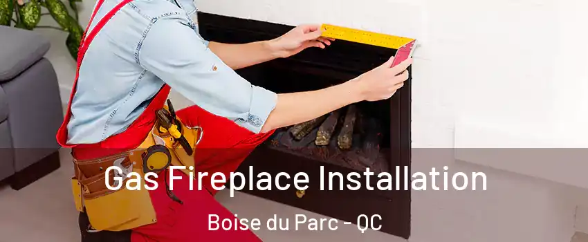  Gas Fireplace Installation Boise du Parc - QC