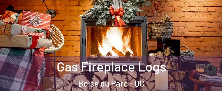 Gas Fireplace Logs Boise du Parc - QC