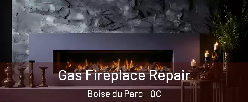  Gas Fireplace Repair Boise du Parc - QC