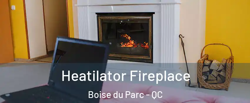  Heatilator Fireplace Boise du Parc - QC
