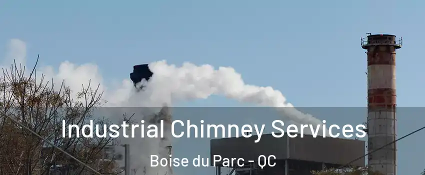  Industrial Chimney Services Boise du Parc - QC