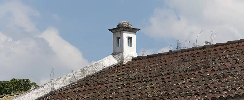 Wind-Resistant Chimney Caps Installation and Repair Services in Blainville, Quebec