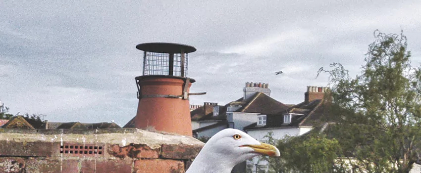 Chimney Cap Bird Guard Repair in Blainville, Quebec