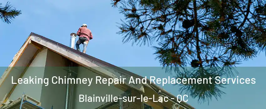  Leaking Chimney Repair And Replacement Services Blainville-sur-le-Lac - QC