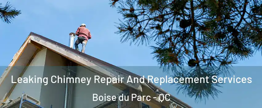  Leaking Chimney Repair And Replacement Services Boise du Parc - QC