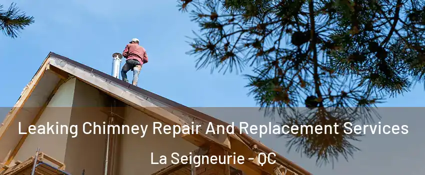  Leaking Chimney Repair And Replacement Services La Seigneurie - QC