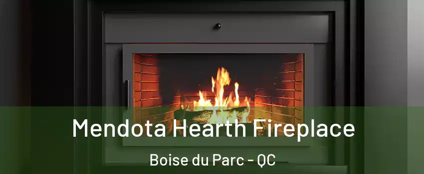 Mendota Hearth Fireplace Boise du Parc - QC