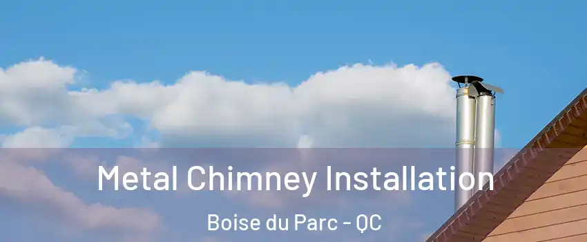  Metal Chimney Installation Boise du Parc - QC