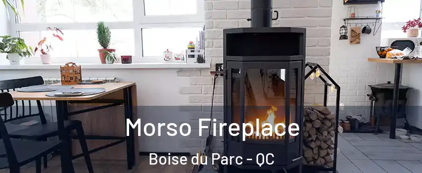  Morso Fireplace Boise du Parc - QC