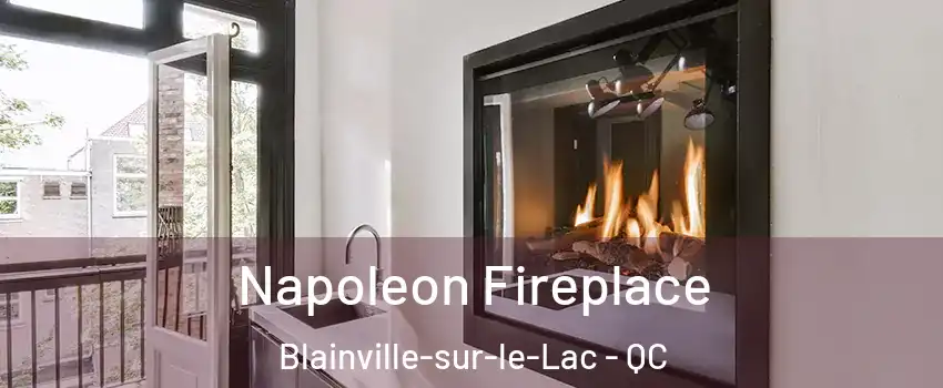  Napoleon Fireplace Blainville-sur-le-Lac - QC