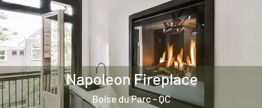  Napoleon Fireplace Boise du Parc - QC