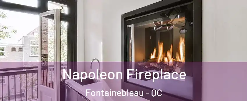  Napoleon Fireplace Fontainebleau - QC