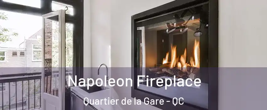  Napoleon Fireplace Quartier de la Gare - QC