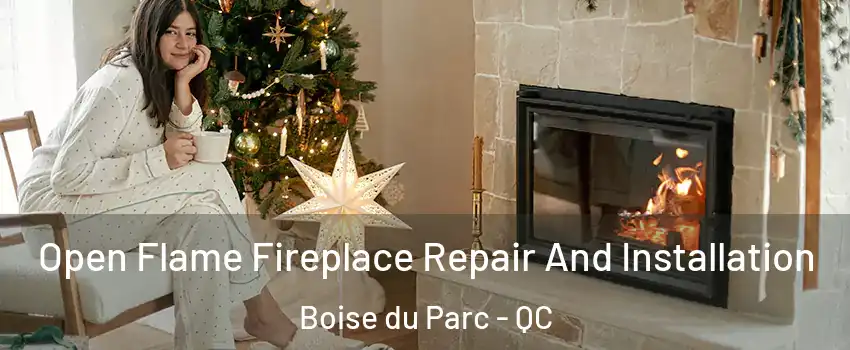  Open Flame Fireplace Repair And Installation Boise du Parc - QC