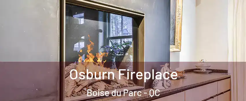  Osburn Fireplace Boise du Parc - QC