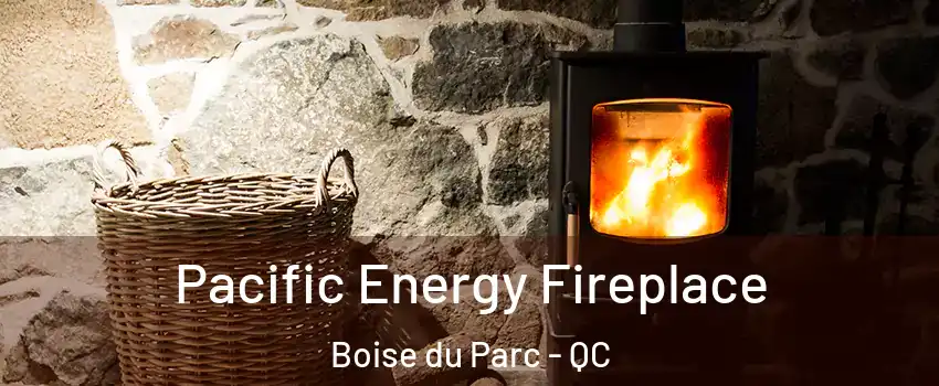  Pacific Energy Fireplace Boise du Parc - QC