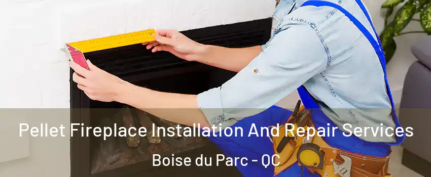  Pellet Fireplace Installation And Repair Services Boise du Parc - QC