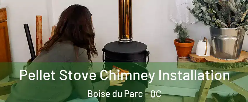  Pellet Stove Chimney Installation Boise du Parc - QC