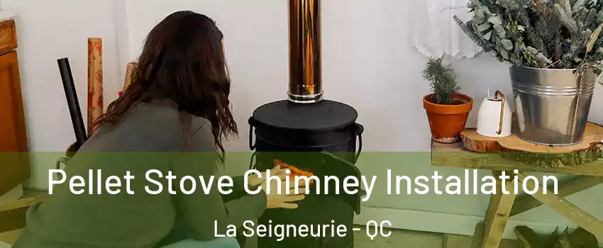  Pellet Stove Chimney Installation La Seigneurie - QC