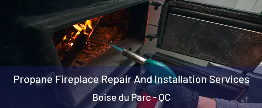 Propane Fireplace Repair And Installation Services Boise du Parc - QC