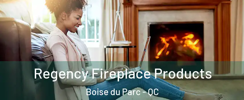  Regency Fireplace Products Boise du Parc - QC