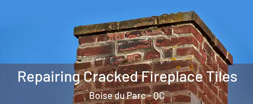  Repairing Cracked Fireplace Tiles Boise du Parc - QC