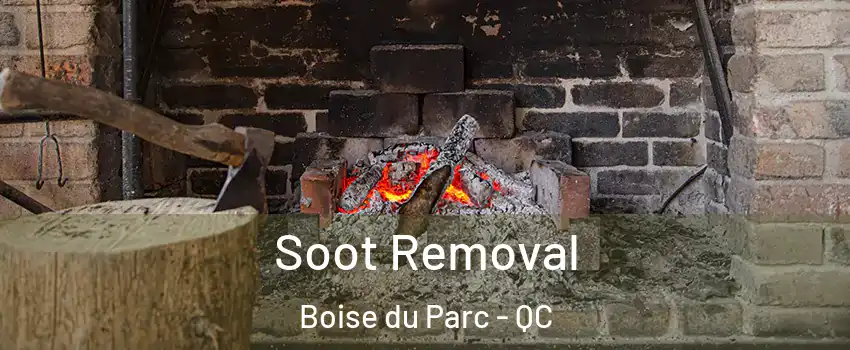  Soot Removal Boise du Parc - QC