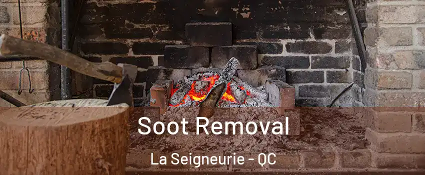  Soot Removal La Seigneurie - QC