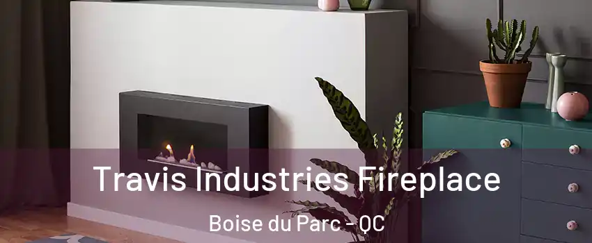  Travis Industries Fireplace Boise du Parc - QC