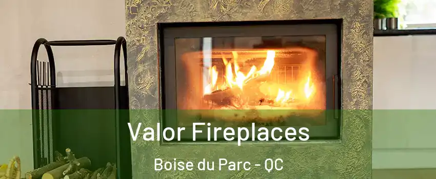  Valor Fireplaces Boise du Parc - QC