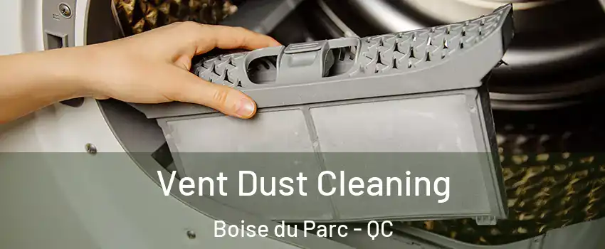  Vent Dust Cleaning Boise du Parc - QC