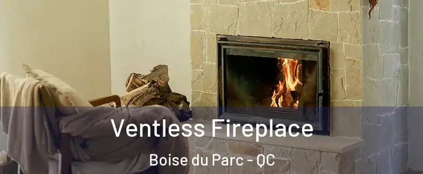  Ventless Fireplace Boise du Parc - QC