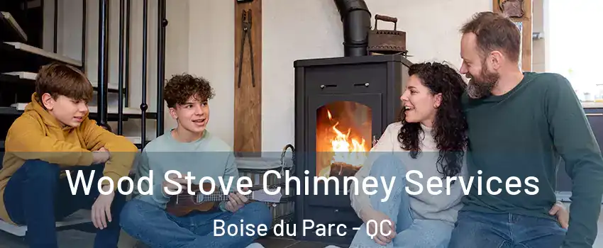  Wood Stove Chimney Services Boise du Parc - QC