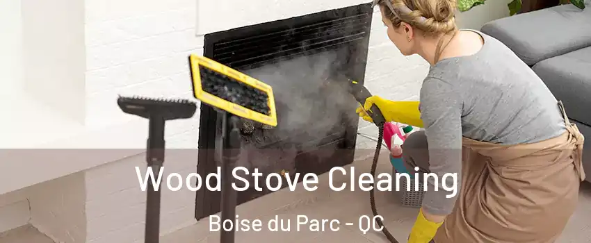  Wood Stove Cleaning Boise du Parc - QC