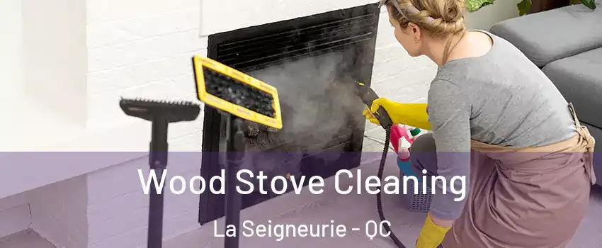  Wood Stove Cleaning La Seigneurie - QC
