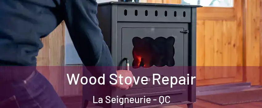  Wood Stove Repair La Seigneurie - QC